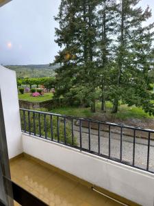a balcony with a view of a park at Hotel Mira Serra in Celorico da Beira