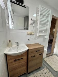 een badkamer met een wastafel en een spiegel bij Domki w Potokach in Bóbrka