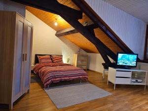 1 dormitorio con 1 cama y TV en el ático en Sady2024, en Ginebra