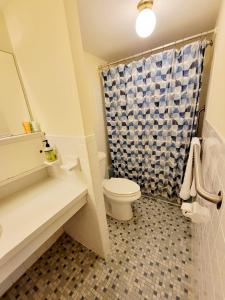 a bathroom with a toilet and a shower curtain at Amazing 2 Bedroom 2 Bath Condo in Elkins Park
