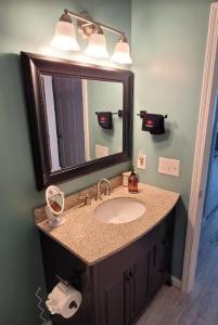 een badkamer met een wastafel en een spiegel bij Robin's Nest 2br At Duke Regional in Durham