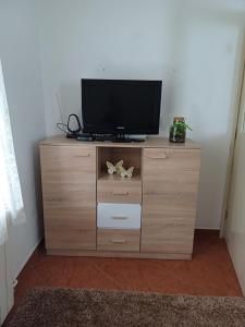 TV a/nebo společenská místnost v ubytování Apartments Karmen