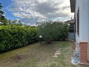 a yard with some bushes and a house at Il nido dell'abete in Borgo a Buggiano