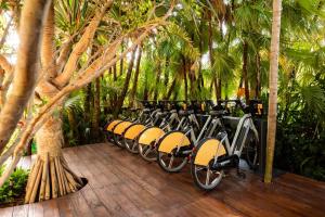 Zahrada ubytování The Standard Miami