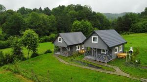 een luchtzicht op een huis op een groen veld bij Domki w Potokach in Bóbrka
