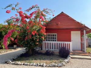 a red building with a tree with red flowers at Bacalar Sunshine in Bacalar