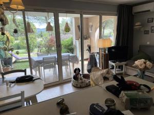 - un salon avec un chien assis dans un panier au milieu dans l'établissement Village Pont Royal en Provence - maeva Home - Appartement 2 Pièces 7 Personnes, à Mallemort