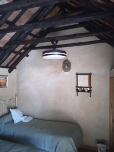 1 dormitorio con 1 cama y techo con luz en La Casita, en Cazalla de la Sierra