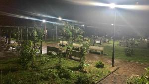nachts ein Park mit Bänken und Lichtern in der Unterkunft Apart Hotel ZUKA in Kobuleti