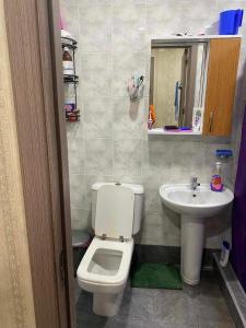 ein Bad mit einem WC und einem Waschbecken in der Unterkunft Apart Hotel ZUKA in Kobuleti