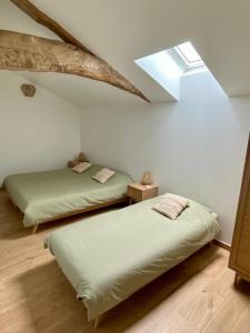 2 łóżka w pokoju z oknem dachowym w obiekcie Les figuiers de Jeanne w mieście Castelculier