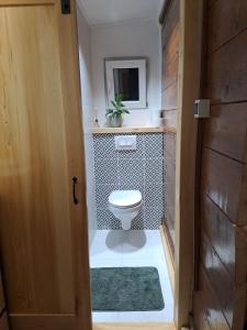 Elle comprend une petite salle de bains pourvue de toilettes et d'une fenêtre. dans l'établissement Brvnara Morava, à Ovčar Banja