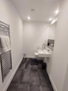 uma casa de banho branca com um lavatório e um WC em Charming 3-Bed Apartment in London em Londres