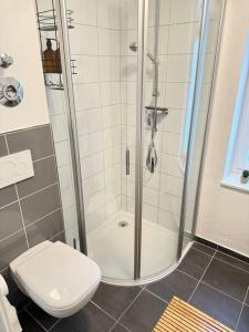 a bathroom with a shower and a toilet at 2,5 Zimmer Ferienwohnung Fehmarn mit eigenem Parkplatz in Fehmarn +16 photos