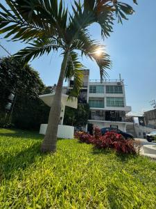 a palm tree in front of a building at Hotel Daba Suites in Chilpancingo de los Bravos