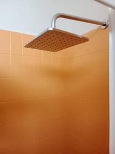 a shower with a shower head in a bathroom at Tiny house Taormina mare with sofa bed - mini stanza Taormina mare con divano letto in Taormina