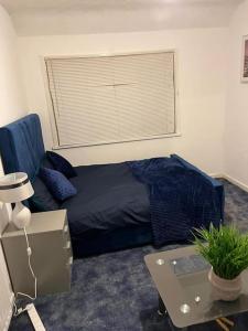 Легло или легла в стая в Better Bromley