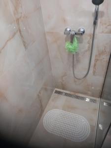 a shower with a shower head and a shower floor at Apartment Neve in Veliko Brdo