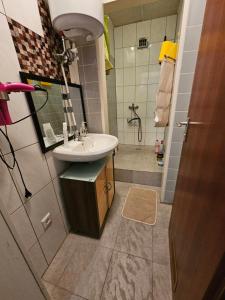 een kleine badkamer met een wastafel en een douche bij Apartment 3 UG La Paula in Stein bei Nürnberg