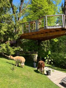 deux moutons qui paissent dans l'herbe sous un pont en bois dans l'établissement Apartments Kokl - Adults only, à Radovljica