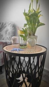 una mesa negra con un jarrón y plantas. en Palma Guesthouse, en Rab