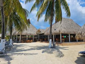 a resort with chairs and palm trees on the beach at Las Palmas Joliet in Roatan