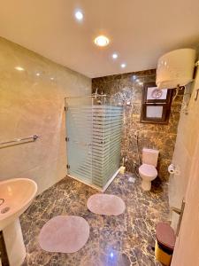 uma casa de banho com um chuveiro, um WC e um lavatório. em شاليه فندقى داخل فندق هلنان بورفؤاد Private Apartment Inside Helnan Hotel Port Fouad em Port Said