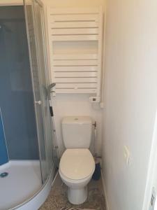 mała łazienka z toaletą i prysznicem w obiekcie Le Nénuphar w mieście Cambrai