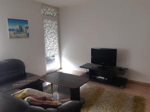 a living room with a couch and a table and a television at Vita apartment in Vilnius