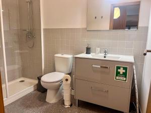 a bathroom with a toilet and a sink and a shower at Imperial Douro Apartamento 2 in Peso da Régua