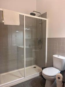 ein Bad mit einer Dusche, einem WC und einer Dusche in der Unterkunft Imperial Douro Apartamento 2 in Peso da Régua