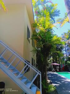 un escalier menant au côté d'un immeuble avec un palmier dans l'établissement Suites Galván centro Colima, alberca, Wifi, parking, à Colima
