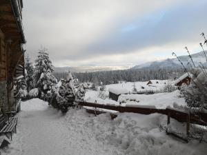 un patio cubierto de nieve con árboles y una casa en Ośrodek Wczasowy U Góralki en Murzasichle