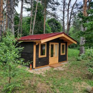 a small cabin with a red roof in the woods at UPES 19 in Cēsis