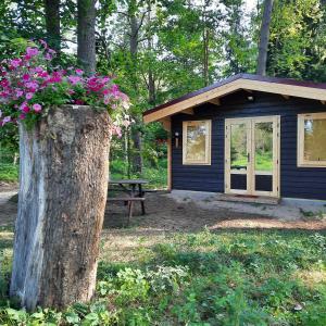 a log cabin with flowers on a tree stump at UPES 19 in Cēsis +33 photos