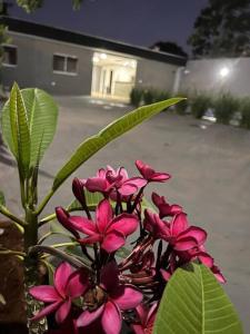 a bunch of pink flowers in front of a house at Casa em Campo Grande com piscina in Campo Grande