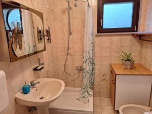 a bathroom with a sink and a shower at Apartma Ferjan in Žaga