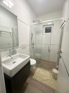 a bathroom with a shower and a sink and a toilet at Nikola apartmani in Crikvenica