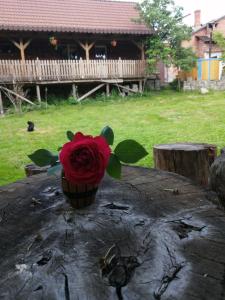 un jarrón con una rosa roja sentado en una mesa en Borlova /Muntele Mic, en Borlova