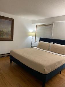 ウィスコンシン・デルズにあるDells Lake Lookout At Lighthouse Cove Condominiumsの部屋にベッドがある寝室