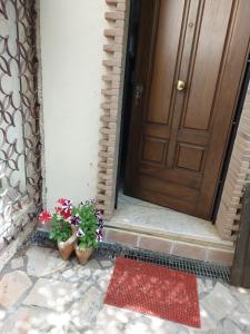 スビアーコにあるIl casale di Pino e Ritaの鉢植えの植物が二本並ぶ扉