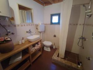KremnaCamp Viljamovka的浴室配有卫生间、盥洗盆和淋浴。