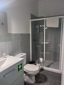 uma casa de banho com um chuveiro, um WC e um lavatório. em Imperial Douro Apartamento 3 em Peso da Régua