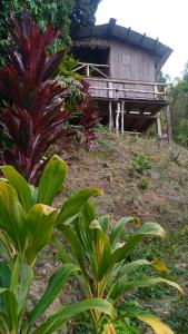 montecristo hostel في سانتا مارتا: منزل على جانب تل مع النباتات