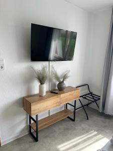 a tv on a wall with two plants on a table at aPARTMENT KARL 22 in Alsfeld