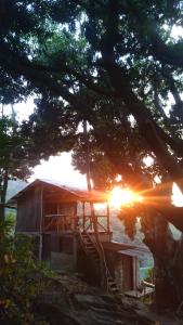 montecristo hostel في سانتا مارتا: منزل على الشاطئ مع غروب الشمس خلف شجرة