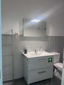 uma casa de banho com um lavatório e um WC em Imperial Douro Apartamento 3 em Peso da Régua