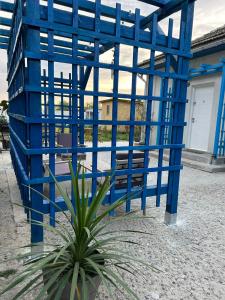 a blue metal structure sitting next to a plant at VadooInn in Vadu