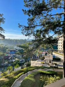 een uitzicht op de stad vanuit een boom bij Bristle Ridge Cozy Vacation Baguio in Baguio