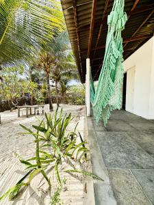 a hammock on a beach with palm trees at La Casita Atins in Atins